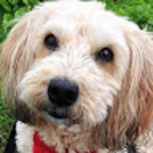 Meet your Posher, Carolyn